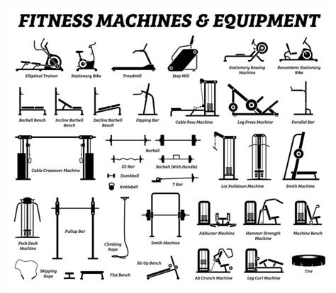 123,900+ Gym Equipment Stock Illustrations, Royalty-Free Vector ...