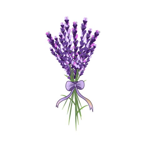 Lavender Bouquet PNG Transparent, Realistic Illustration Of Lavender Bouquet, Purple, Lavender ...
