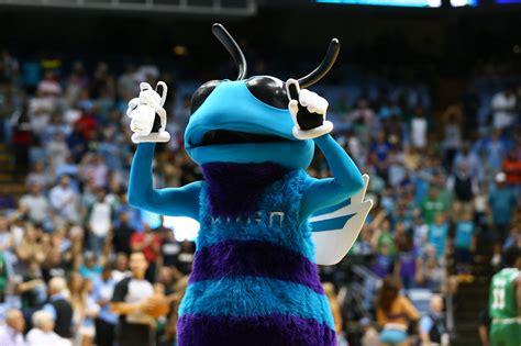 Hugo the Hornet in Mascot Hall of Fame Finals - Carolina Blitz