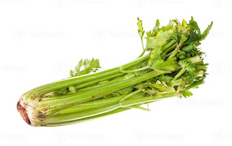 fresh celery stalk isolated on white 11375875 Stock Photo at Vecteezy