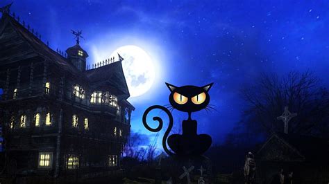 Halloween Black Cat 34681, halloween cat moon HD wallpaper | Pxfuel