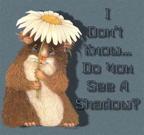 Do you see a shadow spring funny quotes humor ground hog day ground ...