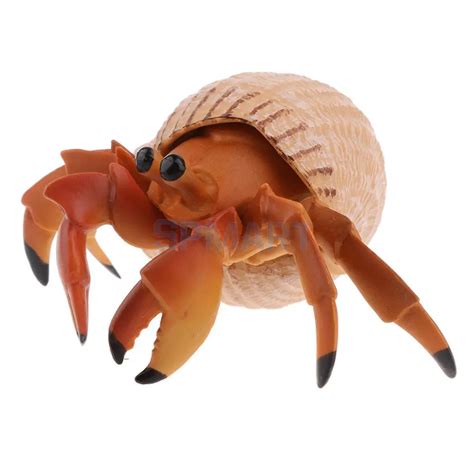 Animals Figure Toys Sea Hermit Crab Animals Toys Realistic Wild Pastic Animal Figurine Kids ...