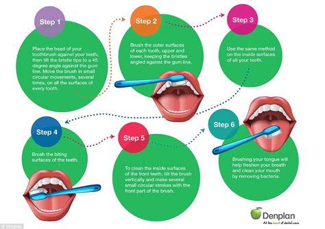 How to brush your teeth correctly in this 6 step guide | Daily Mail Online