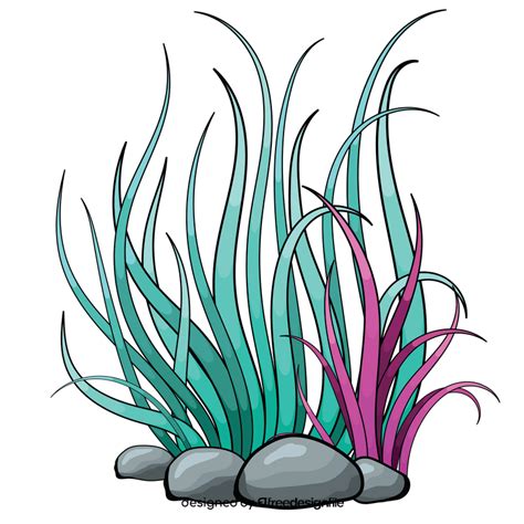 Sea plant clipart free download