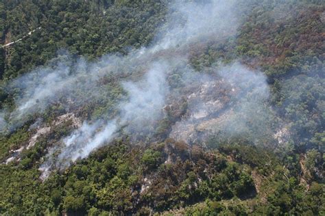 Deforestation in Philippines - Climate Change