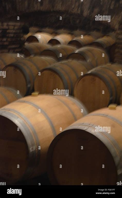 Concha y Toro winery, near Santiago, Chile Stock Photo - Alamy