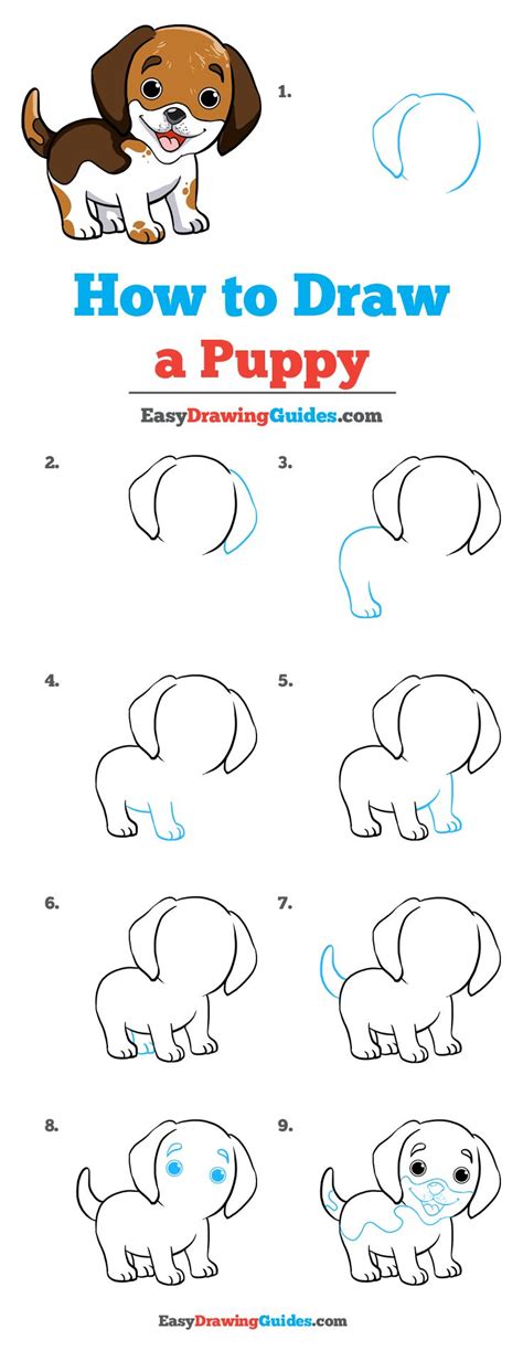 How to Draw a Puppy - Really Easy Drawing Tutorial | Drawing tutorial easy, Puppy drawing easy ...