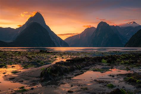 Milford Sound Sunrise at low Tide South Island, New Zealand