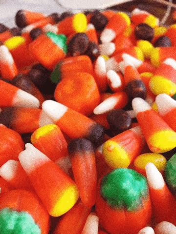 Candy Corn Celebrate Halloween GIF - Find & Share on GIPHY