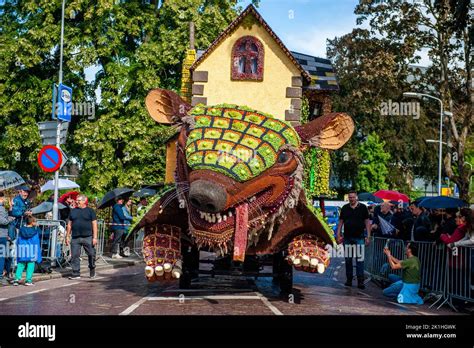 Netherlands tiel parade hi-res stock photography and images - Alamy