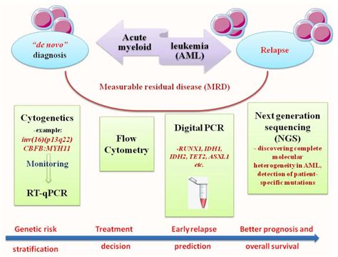 PCR and NGS in Acute Myeloid Leukemia | Encyclopedia MDPI