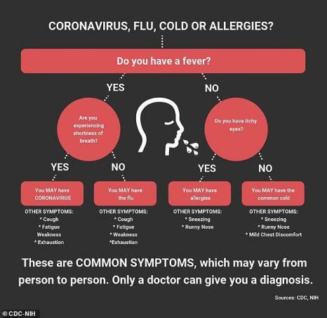 How You Can Tell the Difference Between Allergies, Cold, Flu and COVID-19 - Health News Hub