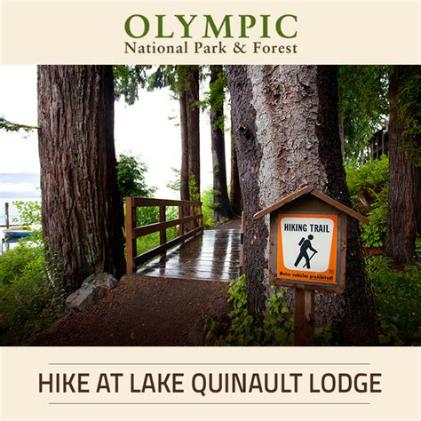 Hiking at Lake Quinault Lodge | Olympic National Park & Forest WA