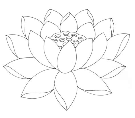 Lotus Flower Coloring Page - Free Printable Coloring Pages for Kids