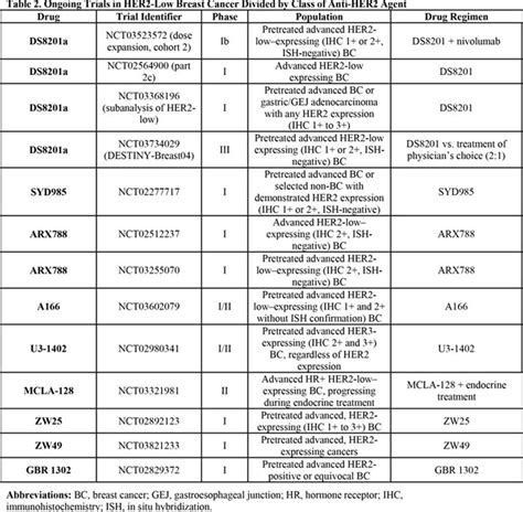 Next-Generation Anti–HER2-Antibody Drug Conjugates: Extending the Actionability to “HER2-Low ...