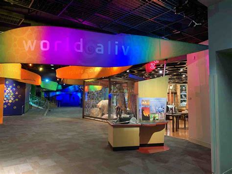 Discovery Place Science is celebrating its 40th birthday with free ...