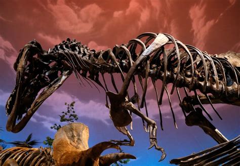 A look into the revamped dinosphere exhibit at the Children's Museum of Indianapolis