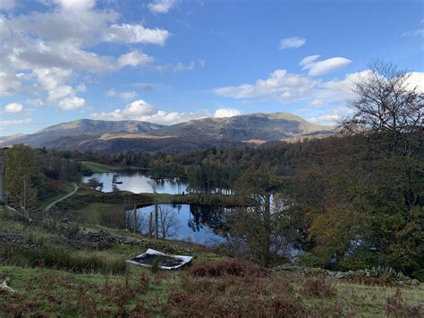 Tarn Hows, Lake District : r/britpics