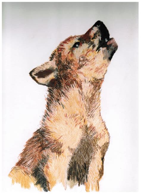 Wolf Cub Drawing at PaintingValley.com | Explore collection of Wolf Cub ...