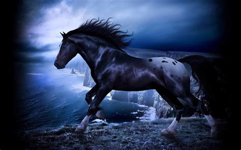 Wild Stallion HD desktop wallpaper : Widescreen : High Definition : Fullscreen