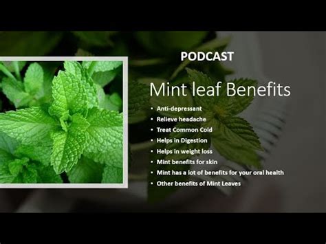 Mint leaf Benefits - YouTube