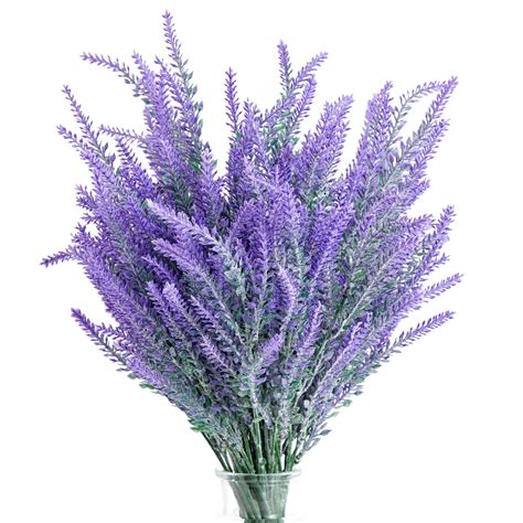 Purple Lavender Flowers | ubicaciondepersonas.cdmx.gob.mx