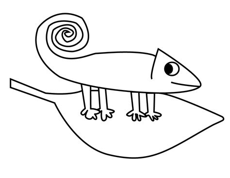 Chameleon Outline Drawing at GetDrawings | Free download