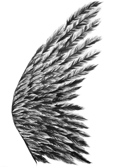 Angel Wing Painting | Angel wings painting, Black and white drawing ...