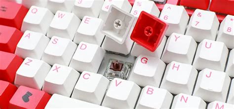 Do Cherry MX Keycaps Fit on Kailh Box Switches? Is It Possible? - Techdim