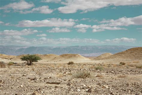 The open space of desert landscapes in southern Israel Photograph by Michal Luzzatto - Fine Art ...