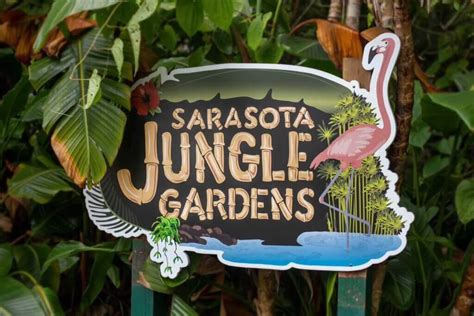 A Sarasota Jungle Gardens Trip Guide • AuthenticFlorida.com