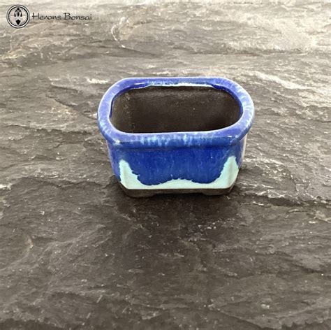 Round Mame (Miniature) Bonsai Pot (5cm) | Blue Rectangle