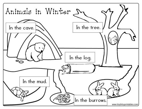 Printable Winter Animals Coloring Pages