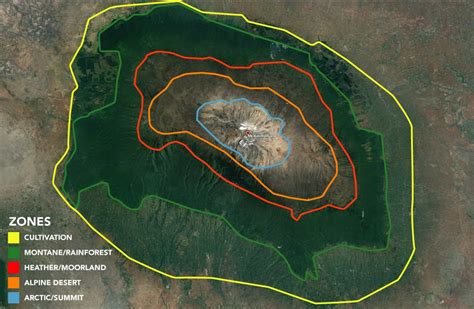 The Climate Zones on Kilimanjaro | Kilimanjaro Sunrise A Trekking Company