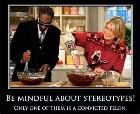 Meme - Snoop Dogg and Martha Stewart - Viral Viral Videos