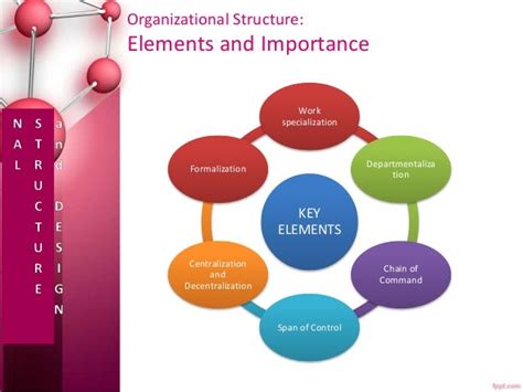 Organizational Structure and Design