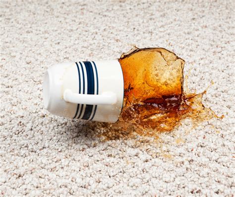 5 Tips For Clean Carpets - Chem-Dry of Fulton-Forsyth