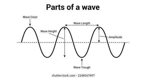 Basic Properties Waves Parts Wave Scientific Stock Vector (Royalty Free ...