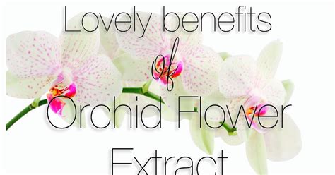 Sodeë Naturals: Benefits of Orchid Flower Extract