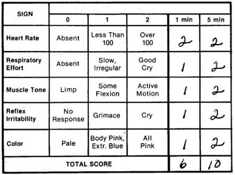 8.03 Virginia Apgar Scoring of the Newborn - Obstetric and Newborn Care II