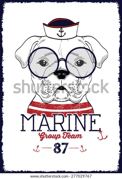 Portrait Bulldog Marine Vector Illustration Stock Vector (Royalty Free ...