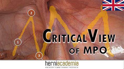 Myopectineal Orifice