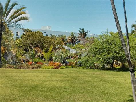 The Miami Beach Botanical Garden – The Everywhereist