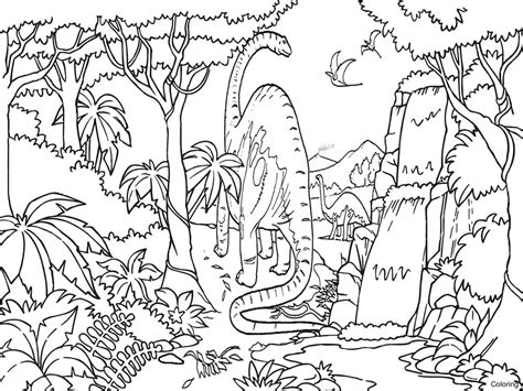 Tropical Rainforest Coloring Pages at GetDrawings | Free download