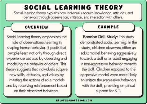 15 Social Learning Theory Examples (2024)