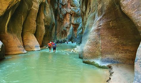 Expert Tips to Remember When Hiking The Narrows in Zion N.P.