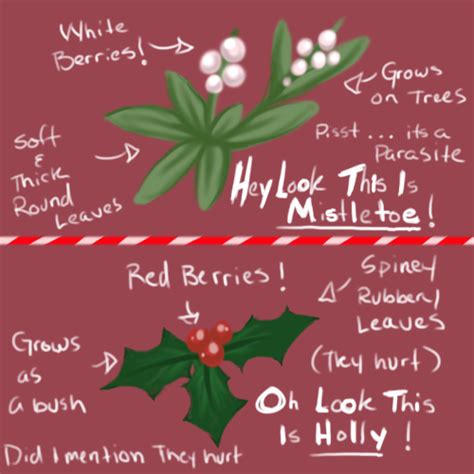 Holly vs. Mistletoe by Hinderence on DeviantArt