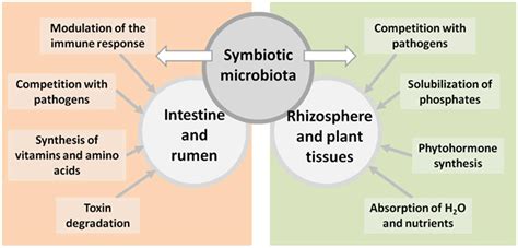 Diversity | Free Full-Text | Microbial Diversity: The Gap between the Estimated and the Known