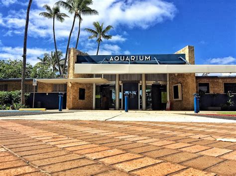 Waikiki Aquarium, HI | Lighting Project | First Light